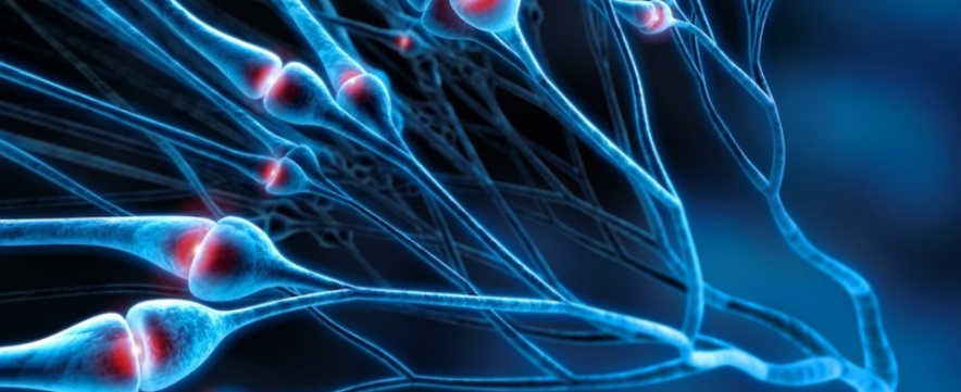 BPM Fundamentals in Pain Management: 3 modules