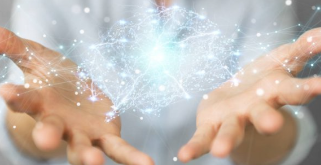 BPM Complete Program: all modules included