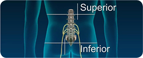 Module 5: Identification and management of low back pain in the primary care setting